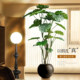 Bionic green plant turtle back living room sofa decoration floor-standing potted plant high-end simulated plant interior decoration fake tree