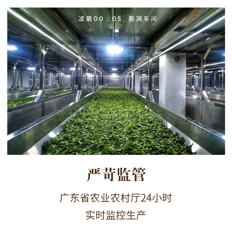 广东茶科所鸿雁正宗英红九号1959罐 鸿雁茶叶其它红茶