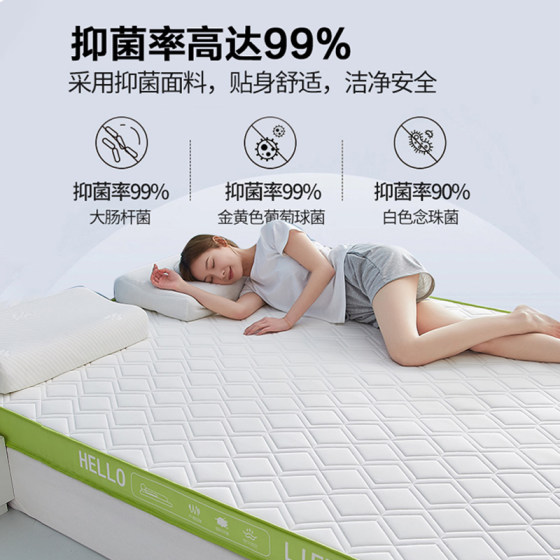 Jialiya Class A Latex Mattress Soft Cushion Sponge Mat