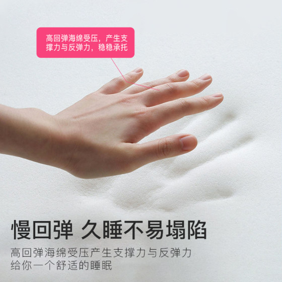Jialiya latex memory foam mattress cushion for home use