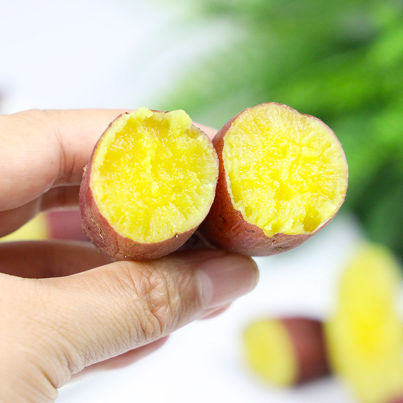 3 /5斤正宗板栗沙地番薯小红薯 聚小二番薯