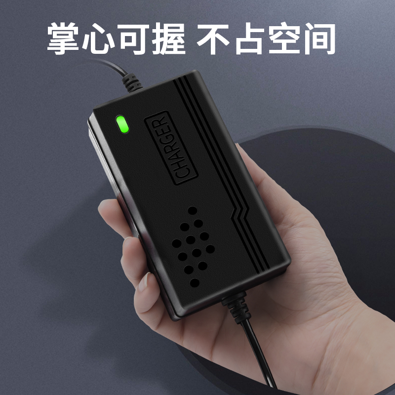 电动喷雾器充电器农用12V通用型8AH电瓶打药机智能12伏锂电池专用 - 图2