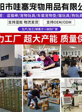 吸盘逗猫棒羽毛幼猫自嗨杆解闷猫