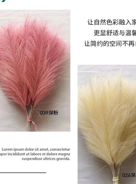 人造短六叉潘帕斯草仿真花现货家居装饰仿真羽毛婚庆道具
