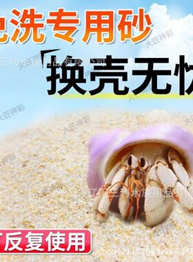 免洗海沙专供寄居蟹乌龟铺底天然