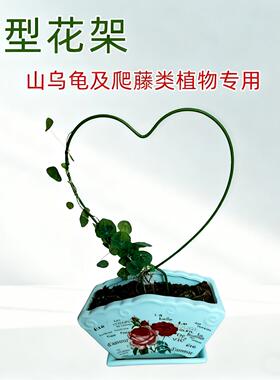 山乌龟绿植桌面花架龟甲龙爬藤架