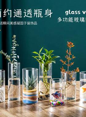 简约玻璃花瓶绿萝水培生态瓶子