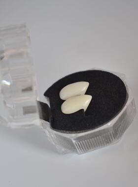 万圣节吸血鬼僵尸恶搞假牙獠牙