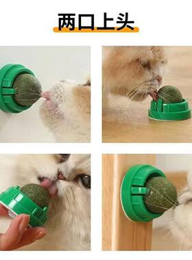 猫薄荷球玩具磨牙洁齿耐咬解闷