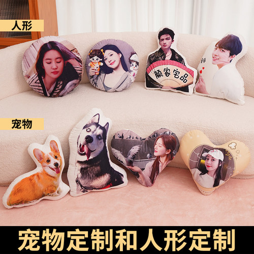 丑猫抱枕定制印照片定做异形玩偶宠物枕头猫狗仿真礼物靠枕靠垫子 - 图3