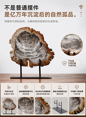 样板间北欧风格软装木化石