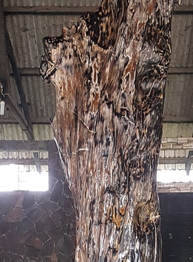 会所样板房售楼处大堂落地摆件