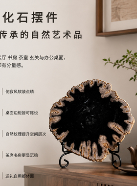 树化石切片展示架摆件装饰品样板房木化石家居个性摆饰配架子礼品