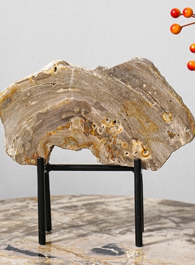 寓石林木化石摆件天然独特家居