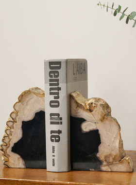 YuShiLin树化石摆件欧式书架