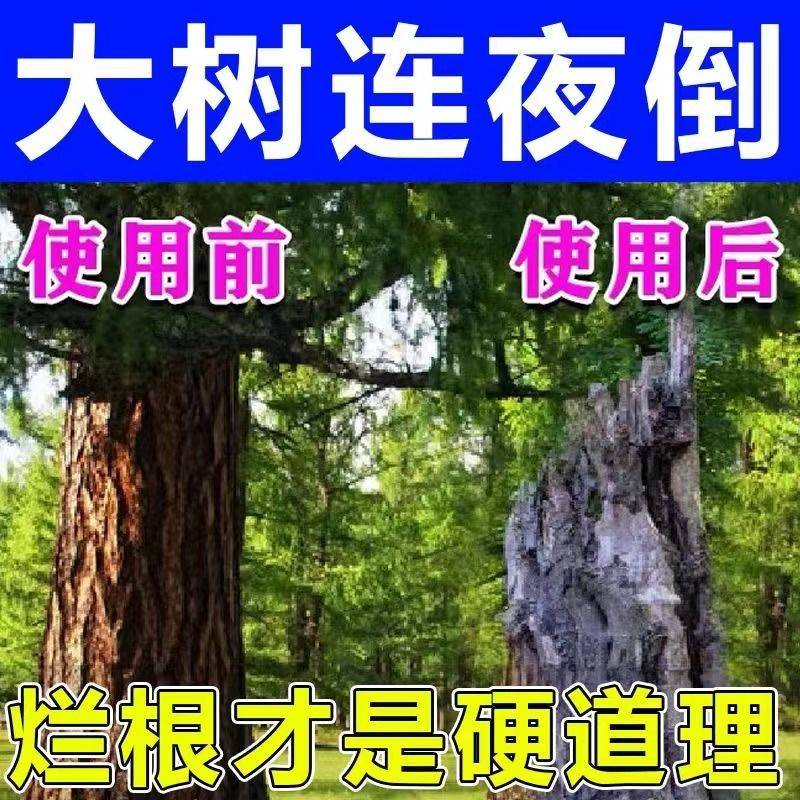 大树烂根药烂根剂强力除树剂死树烂树根腐蚀专用药除树根除草神器 - 图1