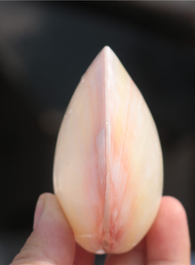 天然海螺贝壳工艺品粉