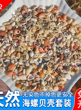 螺贝艺海螺贝壳小海星造景装饰