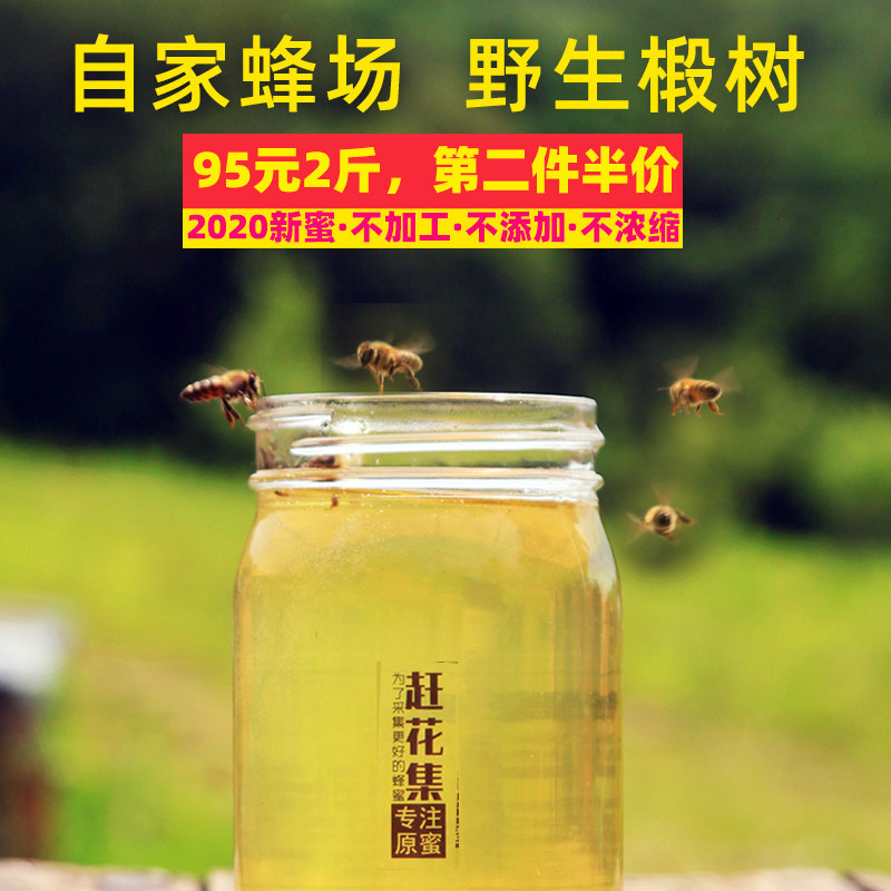 【赶花集】2020新纯正天然野生椴树蜜 赶花集蜂蜜