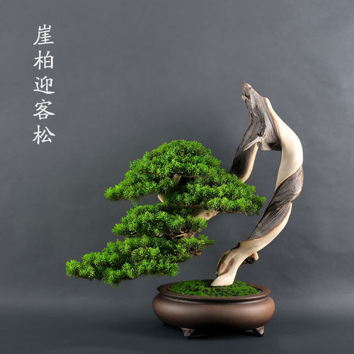 原创仿真迎客松盆景陈化崖柏罗汉松玄关摆件松树盆景仿真饰品松树 - 图2