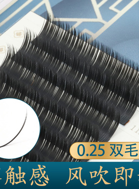 0.25空气扁毛嫁接睫毛