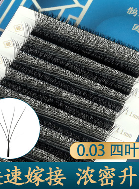 0.03四叶草睫毛嫁接浓密款鹊杉