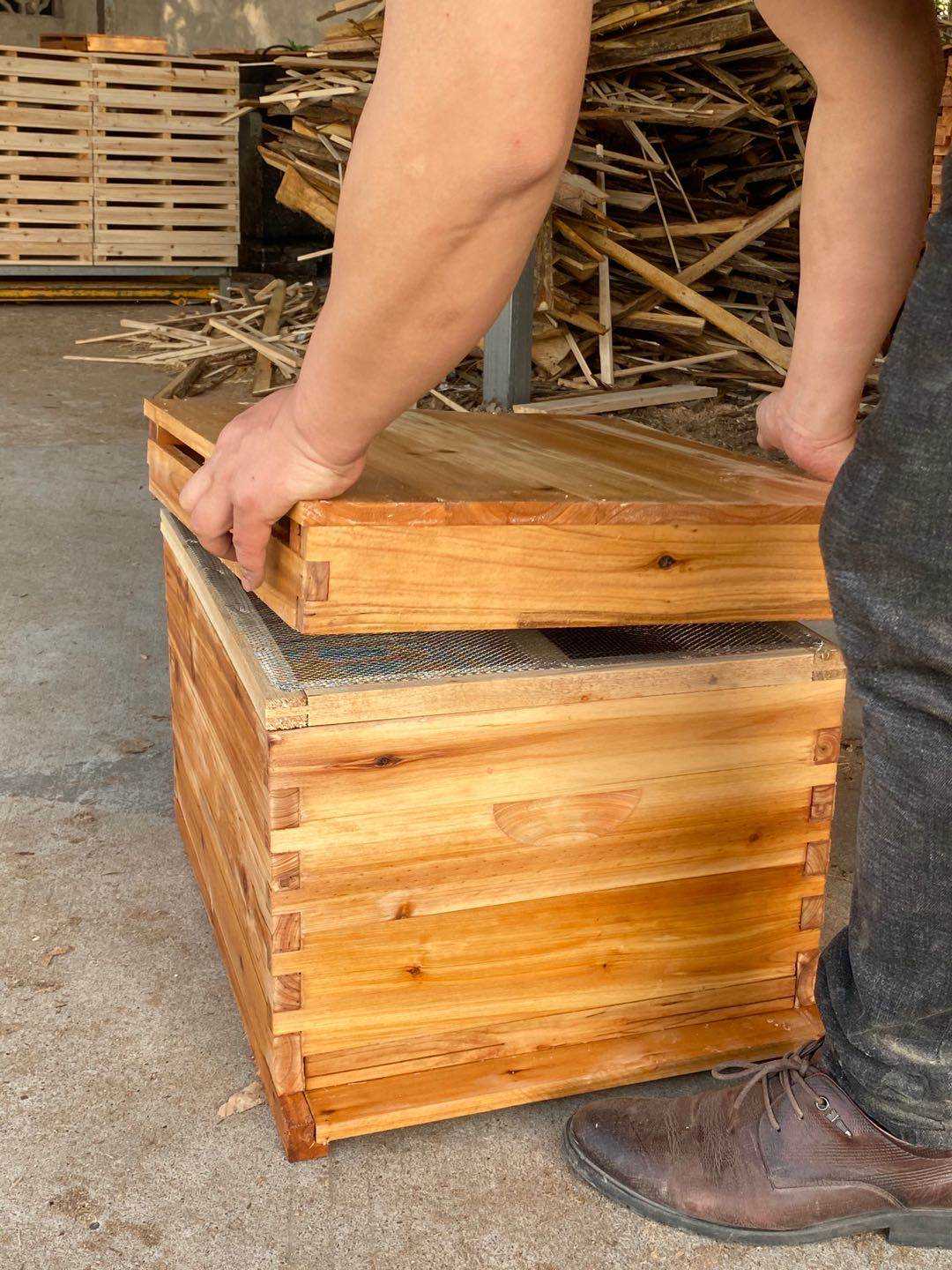 活动底板蜂箱中蜂箱十框箱活底蜂箱养蜂工具中蜂意峰蜂箱蜂具