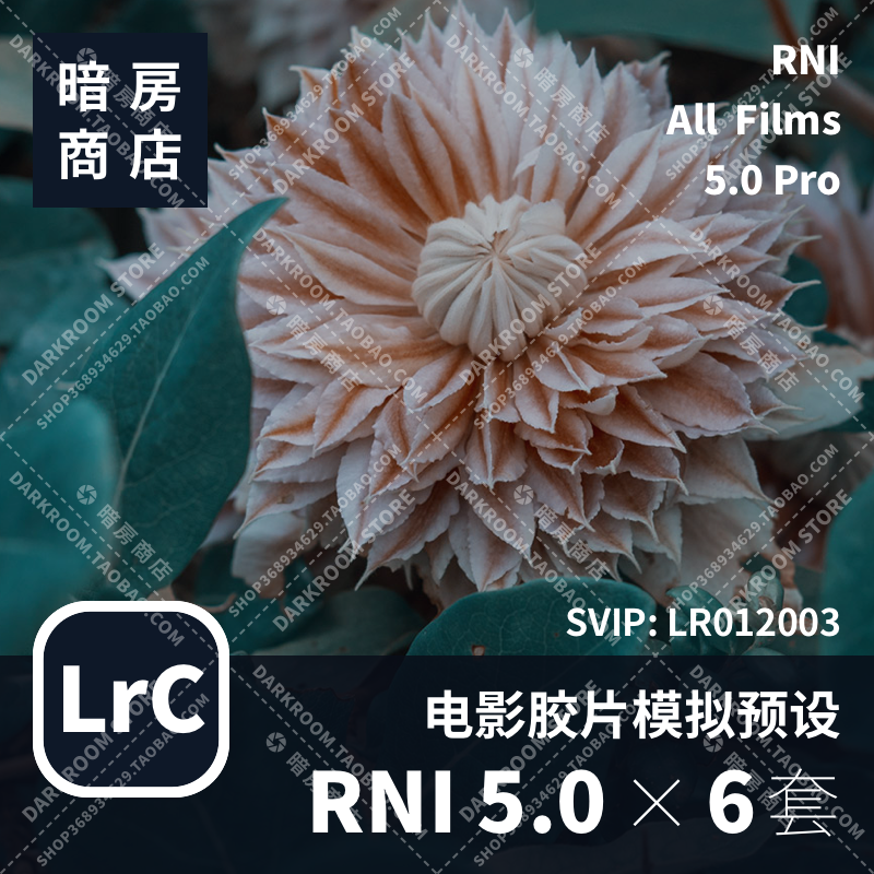 RNI All Films 5.0 柯达富士胶片模拟预设暗房商店LR/PS配置文件 - 图0