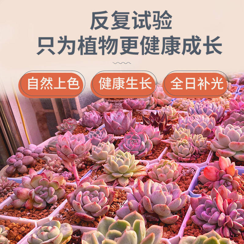 星锐多肉补光灯家用上色全光谱多肉灯植物补光灯仿太阳光室内绿植,淘宝优惠券,粉丝福利购,淘宝优惠卷