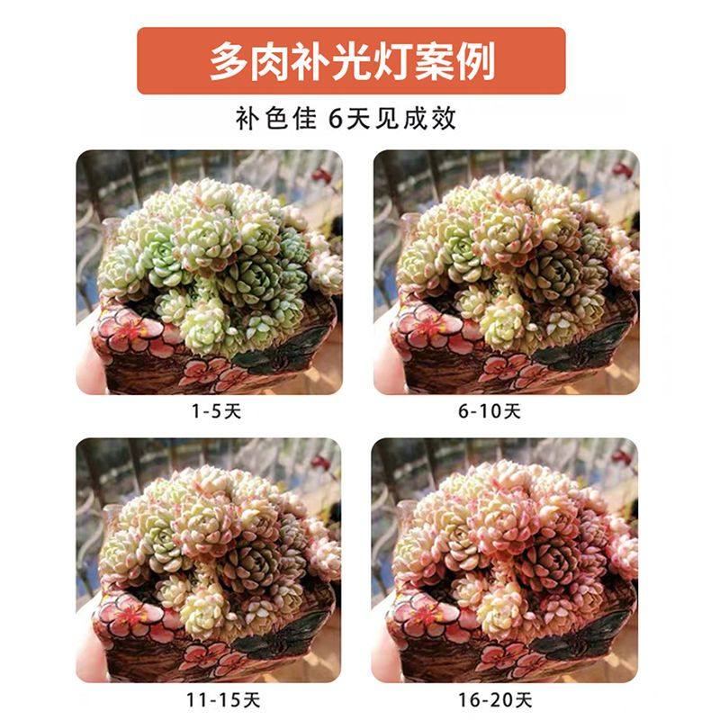 星锐多肉补光灯家用上色全光谱多肉灯植物补光灯仿太阳光室内绿植,淘宝优惠券,粉丝福利购,淘宝优惠卷