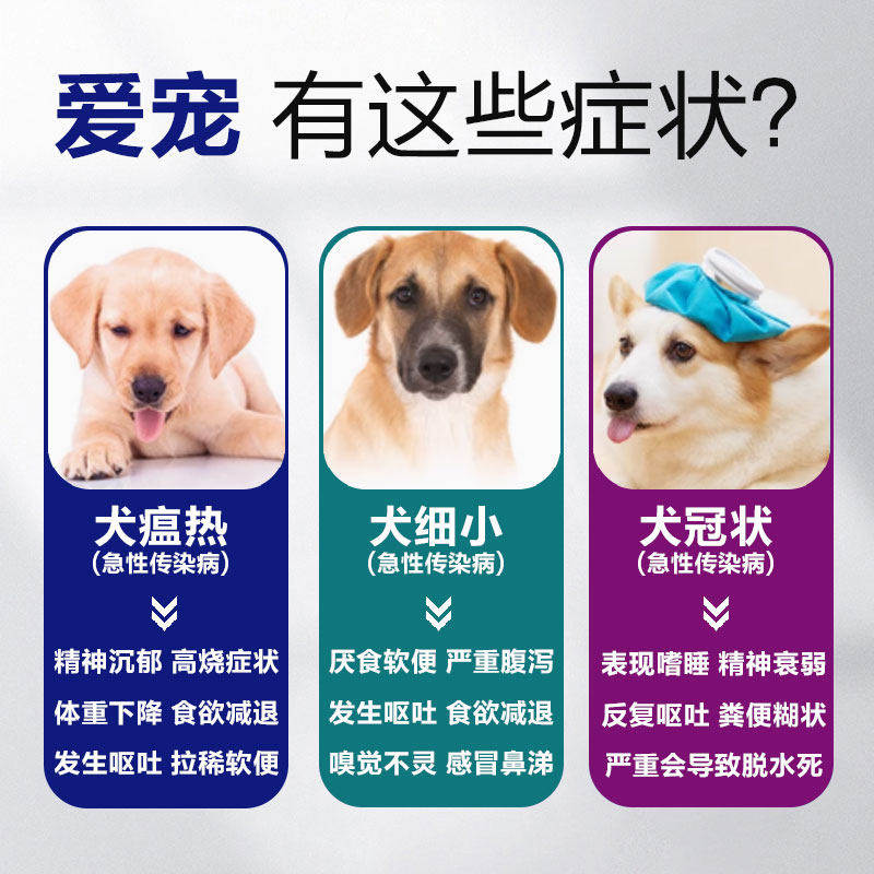 犬瘟单抗犬细小单抗高效免疫多肽犬瘟弱阳强阳血清单克隆抗体拉稀,淘宝优惠券,粉丝福利购,淘宝优惠卷