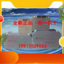 Sandy storage battery 6-GFM-100 12V100AH quality warranty three years UPS EPS DC screen private