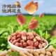 Five-spice Astragalus, Codonopsis and Codonopsis Roasted Peanuts, Shandong Deoiled Five-Spice Roasted Peanuts as a snack, red nuts and roasted seeds and nuts in bags