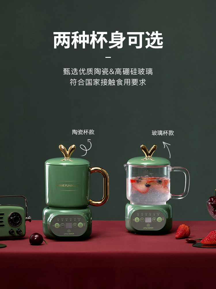 小南瓜养生杯电炖家用迷你养生壶 小南瓜朗俊养生壶/煎药壶