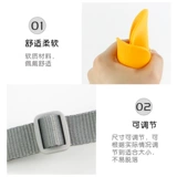 Домашние поставляют собаку Тедди Тедди сделка маленький и маленький откровенный укус Инуки