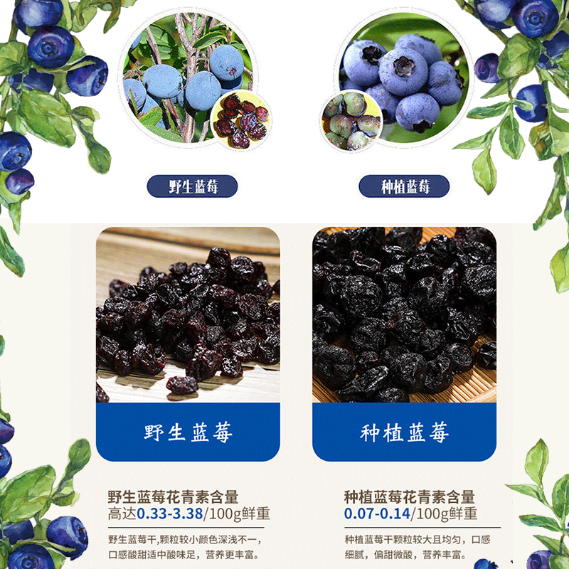 仙家小农女野生无添加剂蓝梅蓝莓干 仙家小农女食品蓝莓