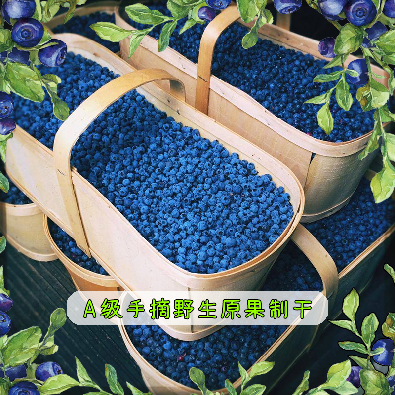 仙家小农女野生无添加剂蓝梅蓝莓干 仙家小农女食品蓝莓