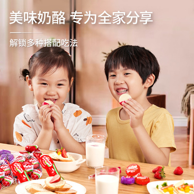 奶酪芝士儿童零食营养健康