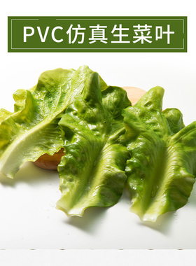 模型仿真生菜叶模型蔬菜食物食品