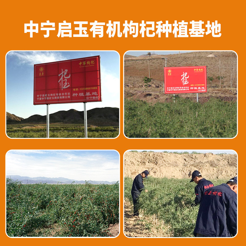 启玉原浆汁宁夏鲜果汁中宁枸杞原浆 启玉枸杞原浆/枸杞制品