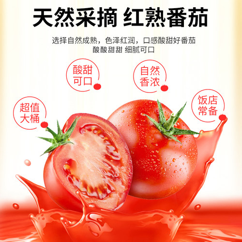 宴遇番茄酱商用批发蕃茄沙司摆摊沙拉酱组合大桶调味酱官方旗舰店 - 图0
