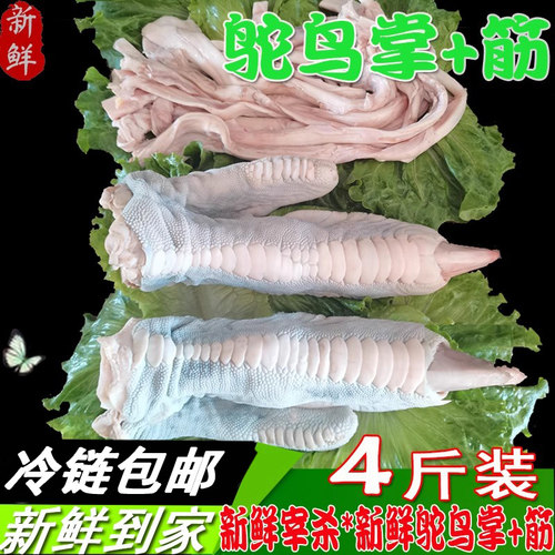 2个装 新鲜鸵鸟掌现杀肉批发散养鸵鸟脚爪子巨型大凤爪子顺丰包邮 - 图1