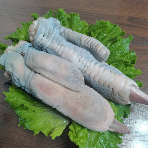 2个装 新鲜鸵鸟掌现杀肉批发散养鸵鸟脚爪子巨型大凤爪子顺丰包邮 - 图0