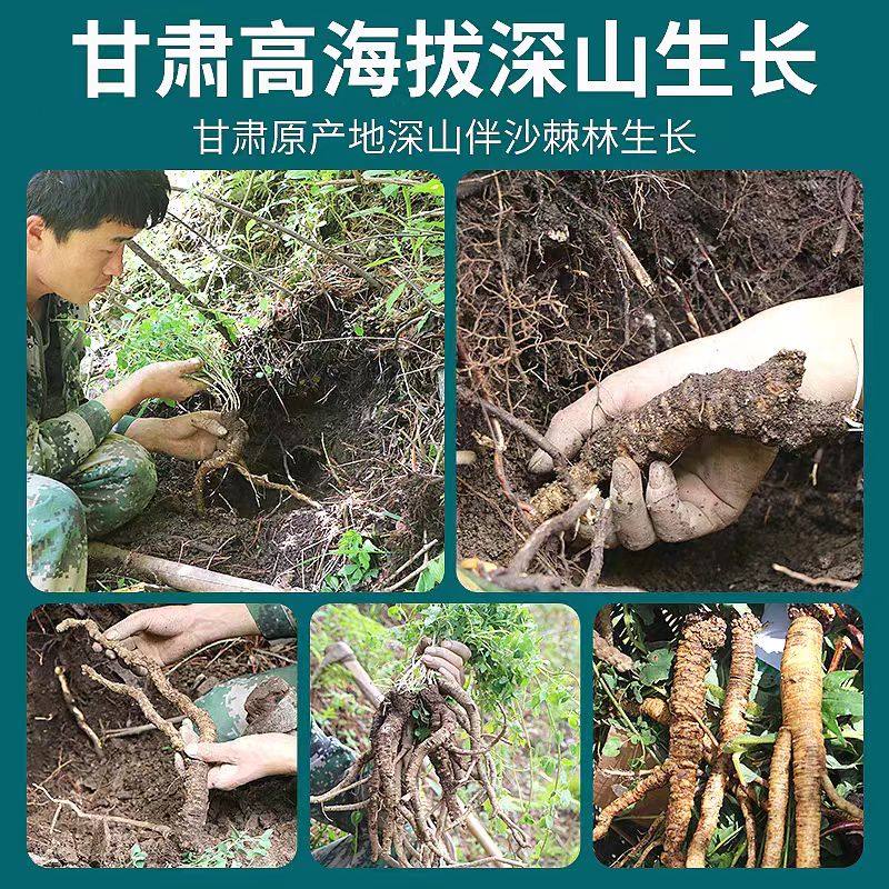 甘肃正宗党参切片黄芪泡水煲汤货段枸杞红枣当归养生茶原产地