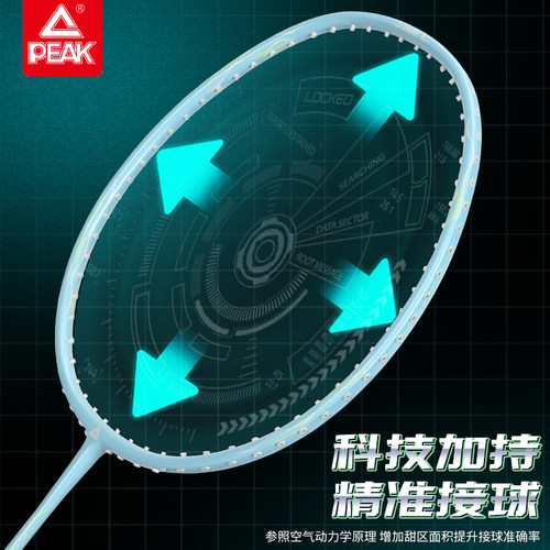 匹克羽毛球拍正品钛合金超轻耐打高弹力成人初学者训练单双拍套装 - 图1