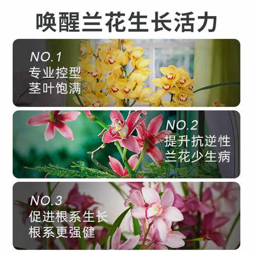 贝可施蝴蝶兰营养液兰花料治黄叶促开花多盆栽植物养花绿植 - 图2