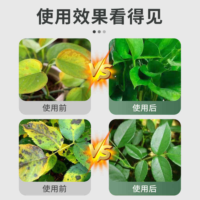 贝可施叶康灵植物病菌清抑菌免稀释营养液枯叶干尖杀菌旗舰店预防,淘宝优惠券,粉丝福利购,淘宝优惠卷