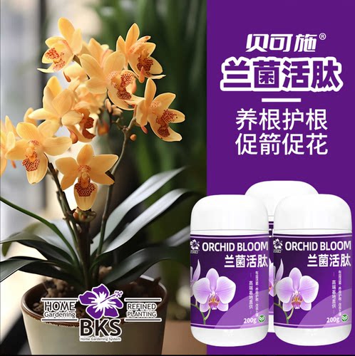 贝可施兰菌活肽兰花营养液促根催芽壮苗增强抗性专用微生物菌剂 - 图2