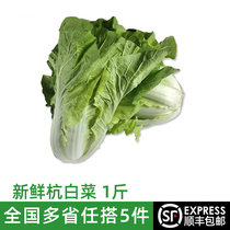 Fresh Hangzhou Cabbage 500g Farmhouse Vegetables Small Cabbage Leaves Vegetable Greens full 5 pieces
