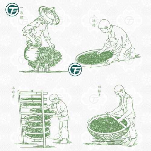 传统制茶工艺流程插画线稿手工茶叶文化包装设计辅助Ai 矢量素材 - 图2